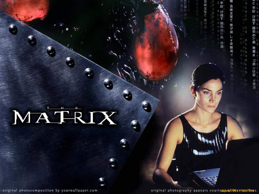 Матрица портрета. Матрица. Матрица 1999 обои. Trinity Matrix 1999. Matrix Trinity Wallpaper.